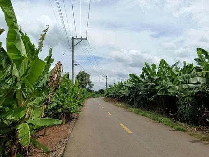 ❗❗CẦN BÁN GẤP❗❗   ĐẤT SỔ CHUNG ,NGANG 5M DÀI 50M