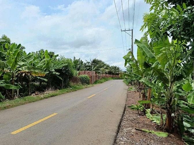 ❗❗CẦN BÁN GẤP❗❗   ĐẤT SỔ CHUNG ,NGANG 5M DÀI 50M