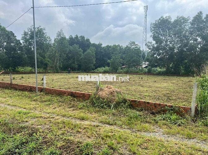 đất đồng sở hữu 100met đến 121 met Vĩnh thanh Nhơn Trạch