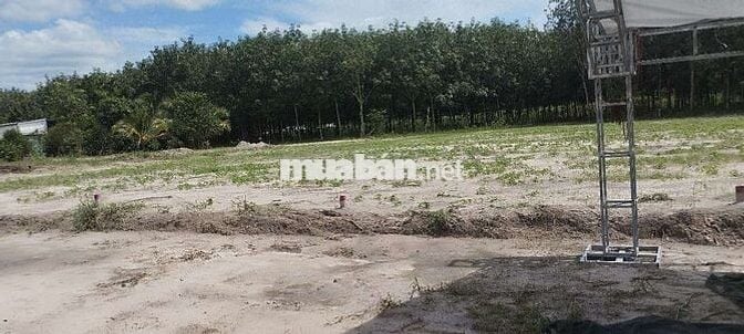 Đất đẹp giá rẻ như hạt dẻ đây ạ.