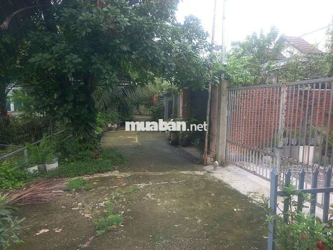 Ban đat phuong an thanh wiu rach thuan an binh duong