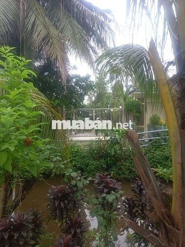 Ban đat phuong an thanh wiu rach thuan an binh duong