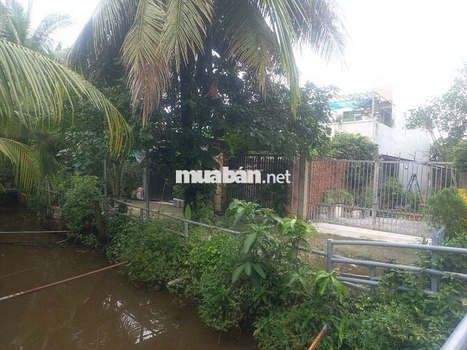 Ban đat phuong an thanh wiu rach thuan an binh duong