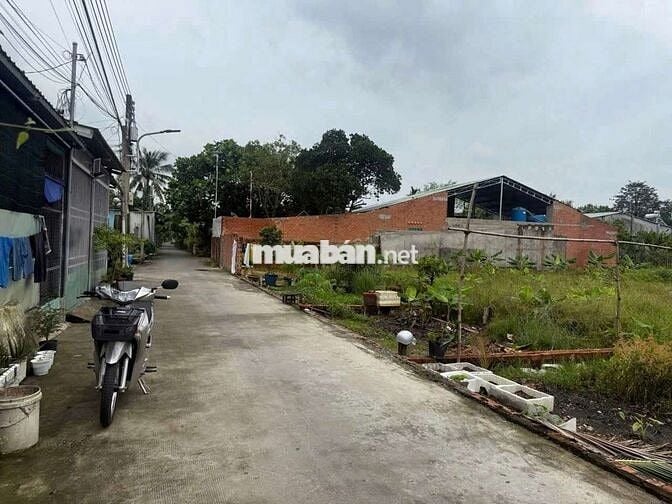 ĐẤT 141M2 CÓ 60M2 THỔ CƯ MẶT TIỀN ĐUONG BÊ TÔNG 3M XÃ AN SƠN THUÂJ AN