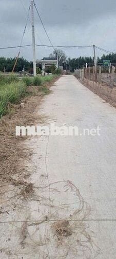 Chính chủ bán đất SHR ,Tiền Giang.giá bán gấp