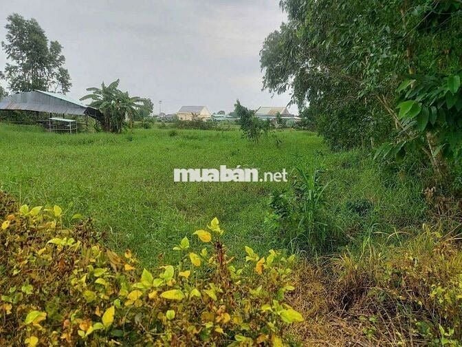 Đất vườn nghỉ dưỡng,Tiền Giang