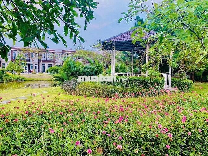 Nhà phố khu dân cư Trần Anh RiverSide giá tuyệt chủng