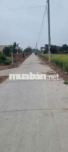 Chính chủ bán đất SHR ,Tiền Giang.giá bán gấp