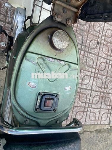 cúp 81/50 đời đầu xe tuyển đồ zin nhiều