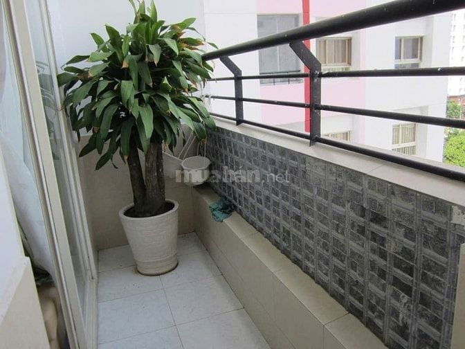 C/c  Đặng văn Ngữ,Phú Nhuận căn 2p ngủ chỉ 12,5tr