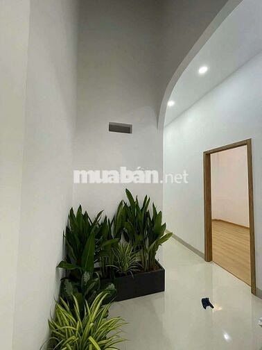 Nhà cấp 4 SHR mặt tiền Tân Thới Nhì 4-2-Hóc Môn.Dt 6x21~123m2~5,3ty