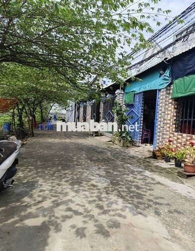 Nhà Hóc Môn 1trệt 1 lầu, đường ô tô, có sân giá rẻ