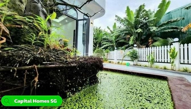 🏘️CHỦ CẦN BÁN NHÀ VƯỜN ĐẸP ĐƯỜNG HOÀN PHAN THÁI - BÌNH CHÁNH - HCM
