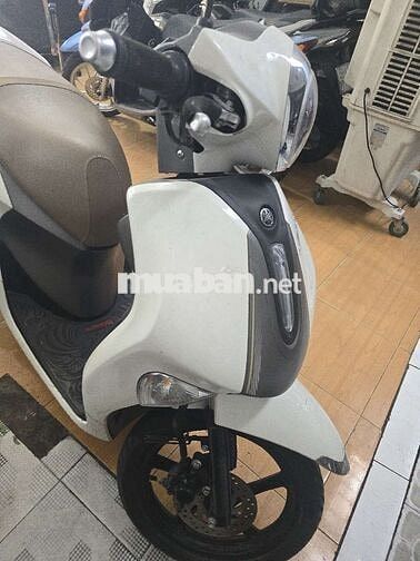 Janus 2023 Biển 63.