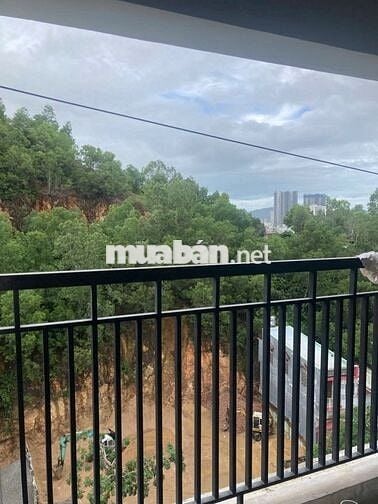 Tìm nam ở ghép chung cư Hoàng Văn Thụ