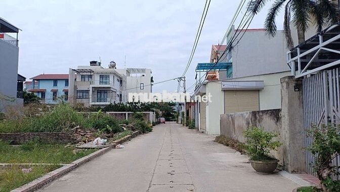 BÁN ĐẤT QUANG MINH TẶNG NHÀ CẤP 4 SẴN Ở NGAY BÁN ĐẤT QUANG MINH TẶNG NHÀ CẤP 4 SẴN Ở NGAY