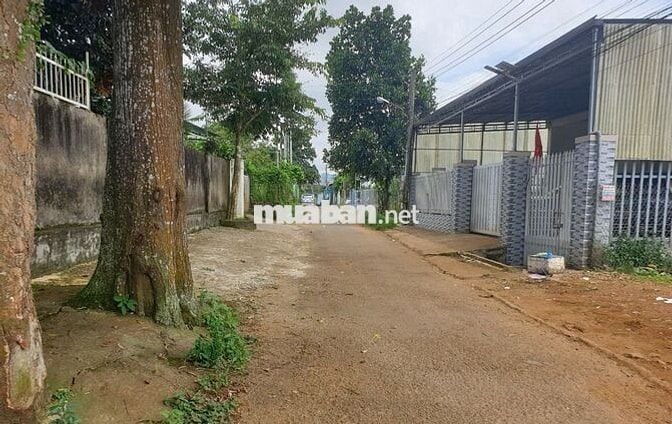 Chủ bán gấp lô đất nền Đ. Nguyễn Thị Búp, Q12