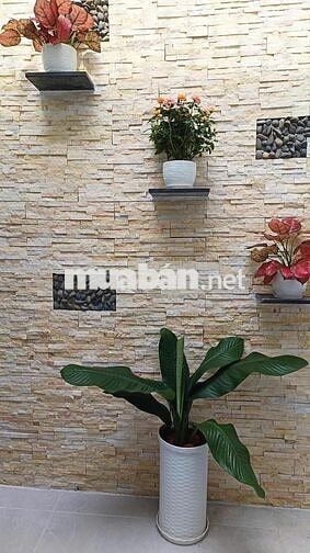 Cho thuê nhà nguyên căn để kinh doanh tại đường Phạm Hùng TP.HCM