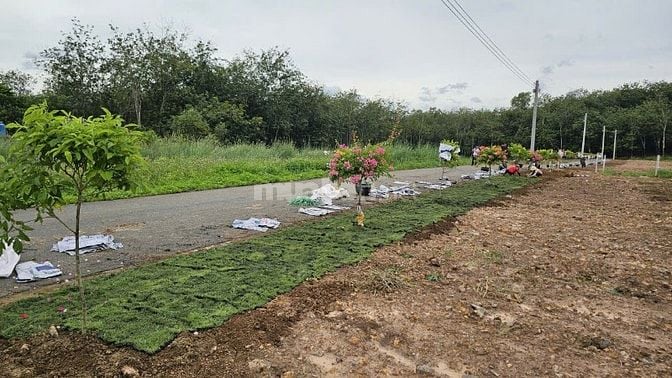 BÁN GẤP LÔ ĐẤT ĐẸP NHẤT AN LONG - TP.HCM 