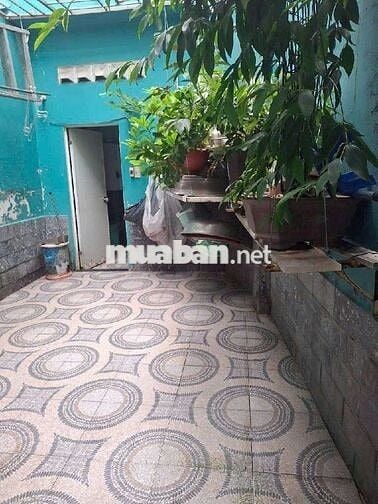 Chị thu bán nhà để về củ chi đường phăn văn hớn Hóc Môn