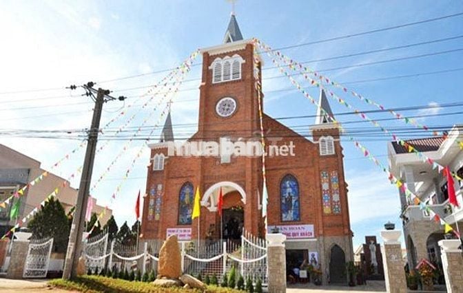 BÁN ĐẤT SỔ ĐỎ 123.7 m2 – ĐƯỜNG NGUYỄN ĐÌNH CHIỂU, PHƯỜNG 9, ĐÀ LẠT