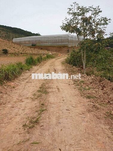 Bán đất vườn CLN tại Tp Đà Lạt, hh 3%