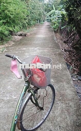 Bán đất vườn 2521m2 (thổ cư 300m2), xã An Sơn, Thuận An, Bình Dương