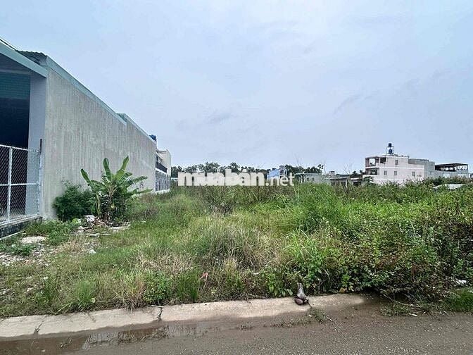 Bán gấp đất xây trọ Bình Chánh – gần TL10, Lê Minh Xuân, cần vốn kinh