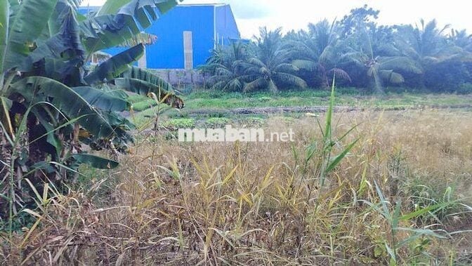 Thanh lý lô đất mặt tiền đường Trương Vĩnh Nguyên - Cần Thơ