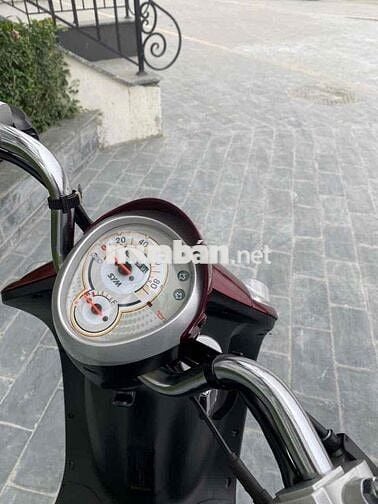 Thanh lý Elit 50cc chính hãng SYM siêu mới