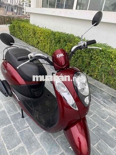 Thanh lý Elit 50cc chính hãng SYM siêu mới