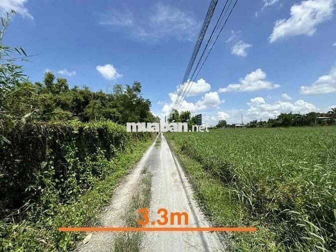 Ngân Hàng Thanh lý lô đất ở xã Hiệp Hòa, huyện Đức Hòa, tỉnh Long An