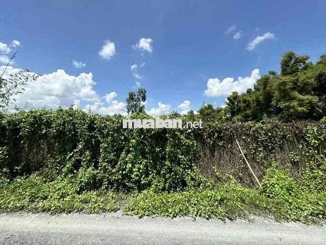 Ngân Hàng Thanh lý lô đất ở xã Hiệp Hòa, huyện Đức Hòa, tỉnh Long An