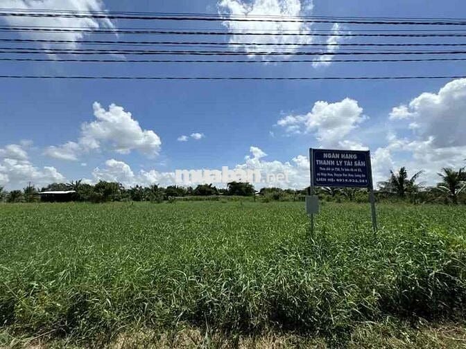 Ngân Hàng Thanh lý lô đất ở xã Hiệp Hòa, huyện Đức Hòa, tỉnh Long An