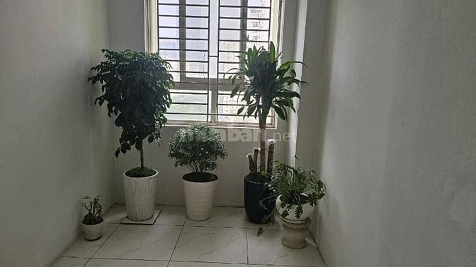 Chính chủ cho thuê căn hộ chung cư B10 Nam Trung Yên 72m2