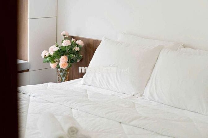 BÁN CĂN HỘ CELADON CITY 2PN , 3PN TÂN PHÚ