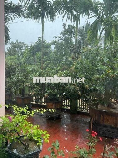 Đất hơn 1000m2 ngay trung tâm cầu Bồng Sơn