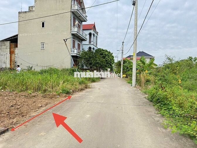 Đất đẹp thôn Ấp Tre (Tổ 9), Quang Minh, TP HN. Đất full thổ cư, đường Đất đẹp thôn Ấp Tre (Tổ 9), Quang Minh, TP HN. Đất full thổ cư, đường