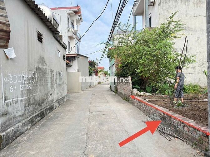 Bán đất thôn Ấp Tre (Tổ 9 cũ), xã Quang Minh. Đường thông, ô tô đỗ.