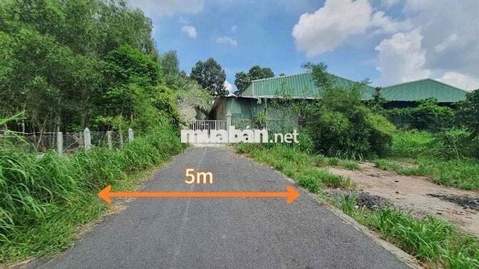 Ngân hàng Thanh lý lô đất tại xã Phú An, thị xã Bến Cát, Bình Dương