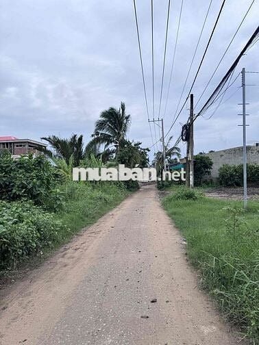 Đất 100m2 full thổ cư Xã Bình Đức, Châu Thành, Tiền Giang (cũ)