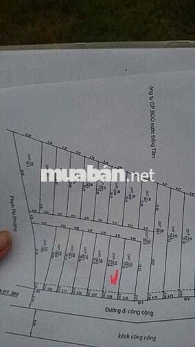 Đất 100m2 full thổ cư Xã Bình Đức, Châu Thành, Tiền Giang (cũ)