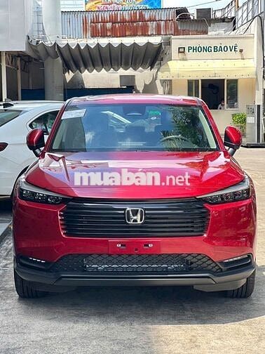 Giá xịn nhất thị trường, đủ màu giao ngay!