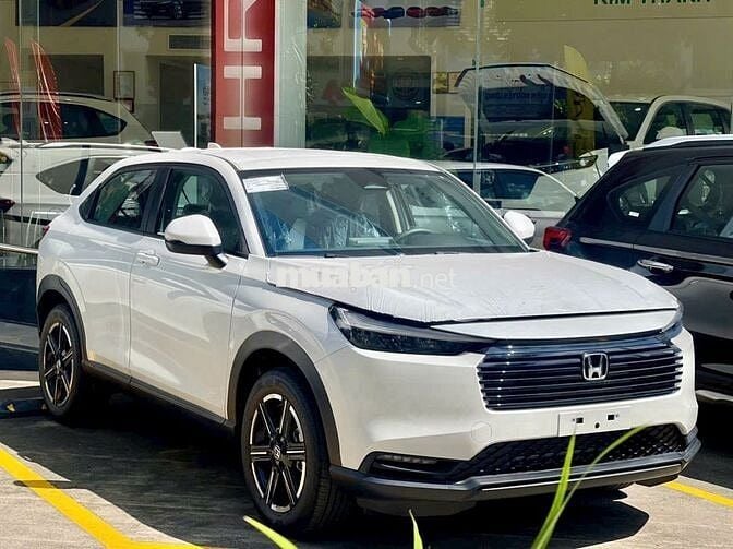 Giá xịn nhất thị trường, đủ màu giao ngay!