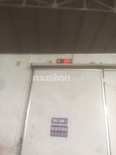 Bán nhà xưởng có 5 kho lạnh lớn sức chứa 400 tấn