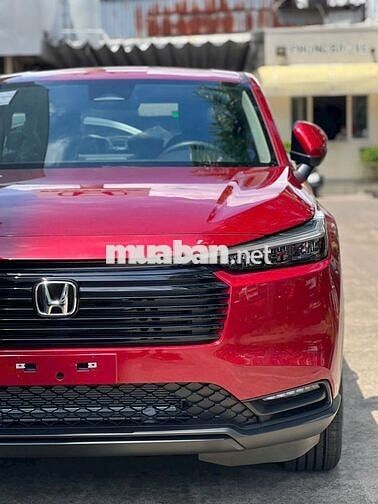 Giá xịn nhất thị trường, đủ màu giao ngay!