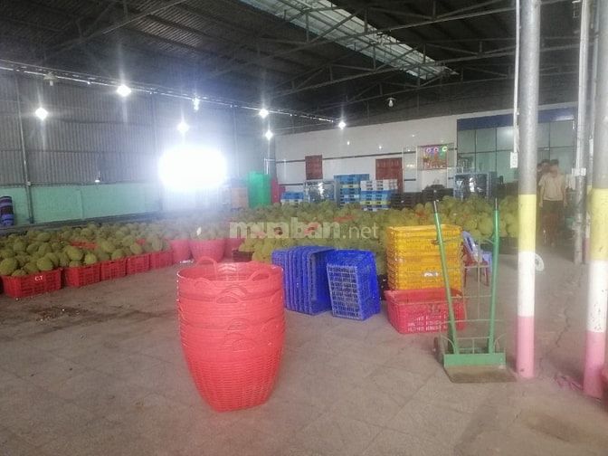 Bán nhà xưởng có 5 kho lạnh lớn sức chứa 400 tấn