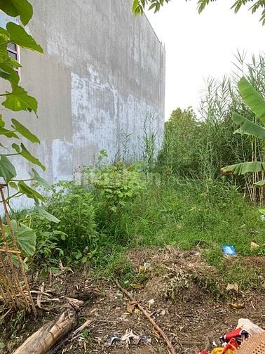 Bán Nền KDC Bờ Đai – Bình Minh, full thổ cư, Bình Minh, Vĩnh Long