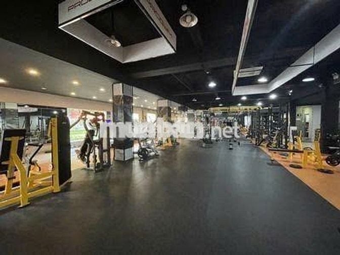 CHO THUÊ TÒA NHÀ MẶT TIỀN TRẦN HƯNG ĐẠO – QUẬN 1, DT KHỦNG 12x23