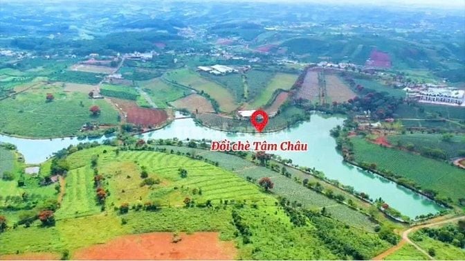 ✅Lô đất 500m2 ngay Tâm Châu Farm , Bảo lộc , Lâm Đồng 